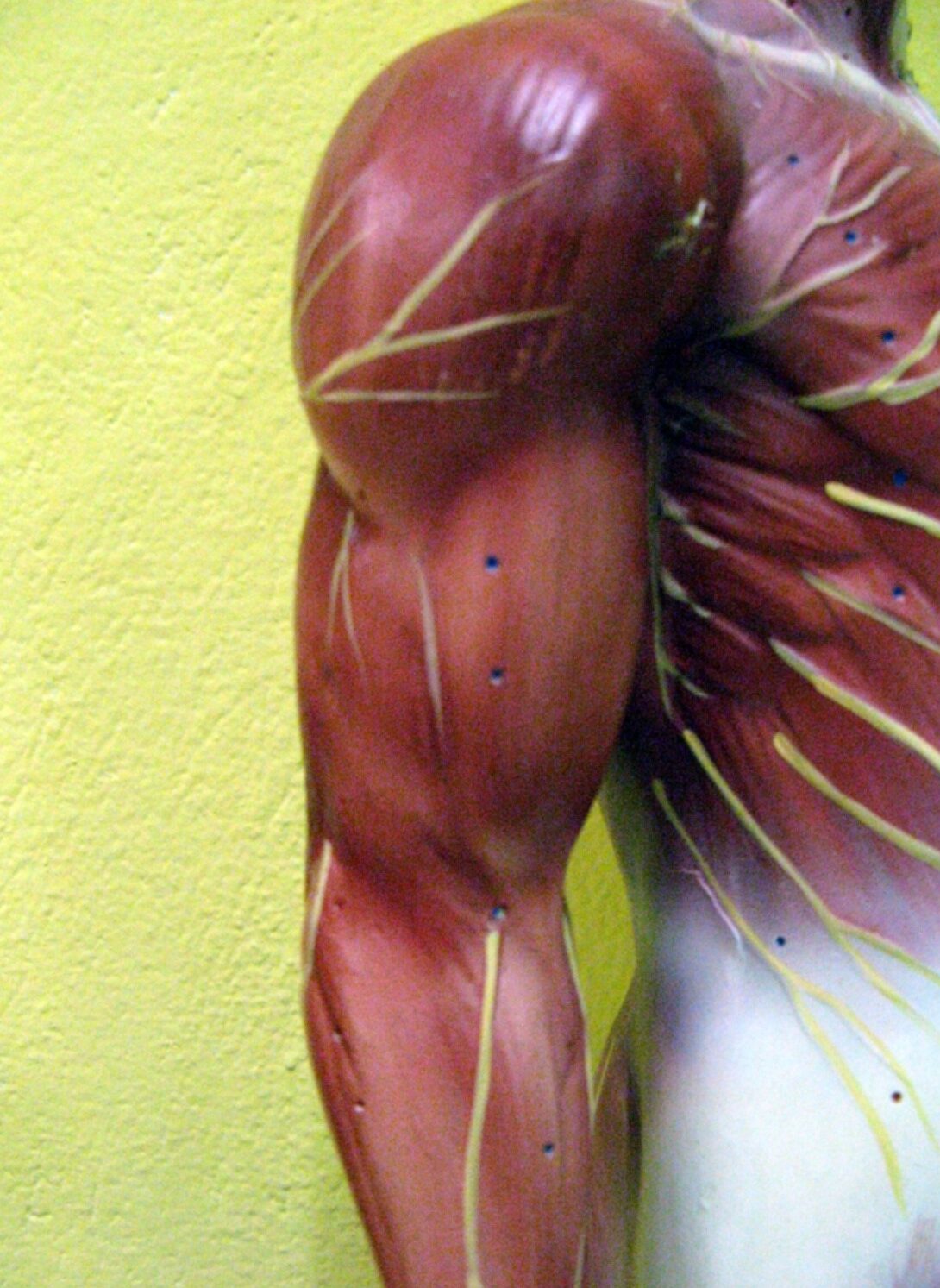 traumi recupero funzionale a milano